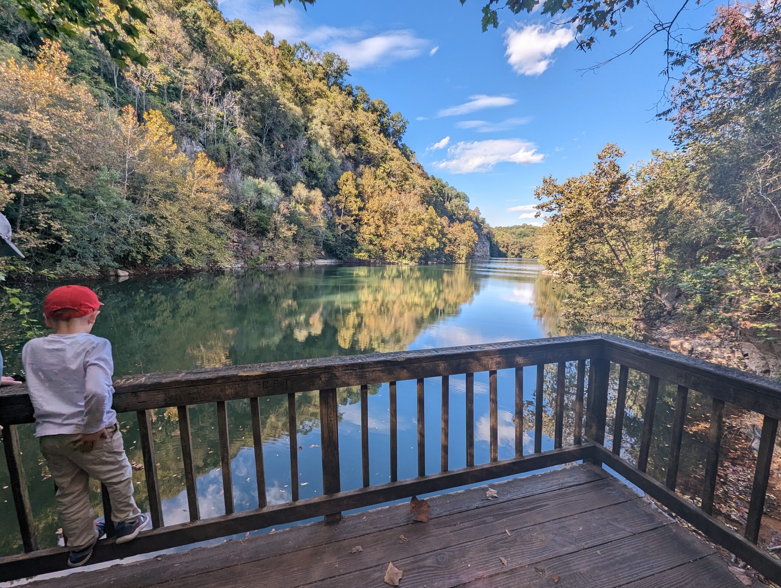 A view of Mead's Quarry at Ijams.