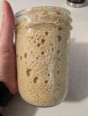 mason jar of active einkorn sourdough